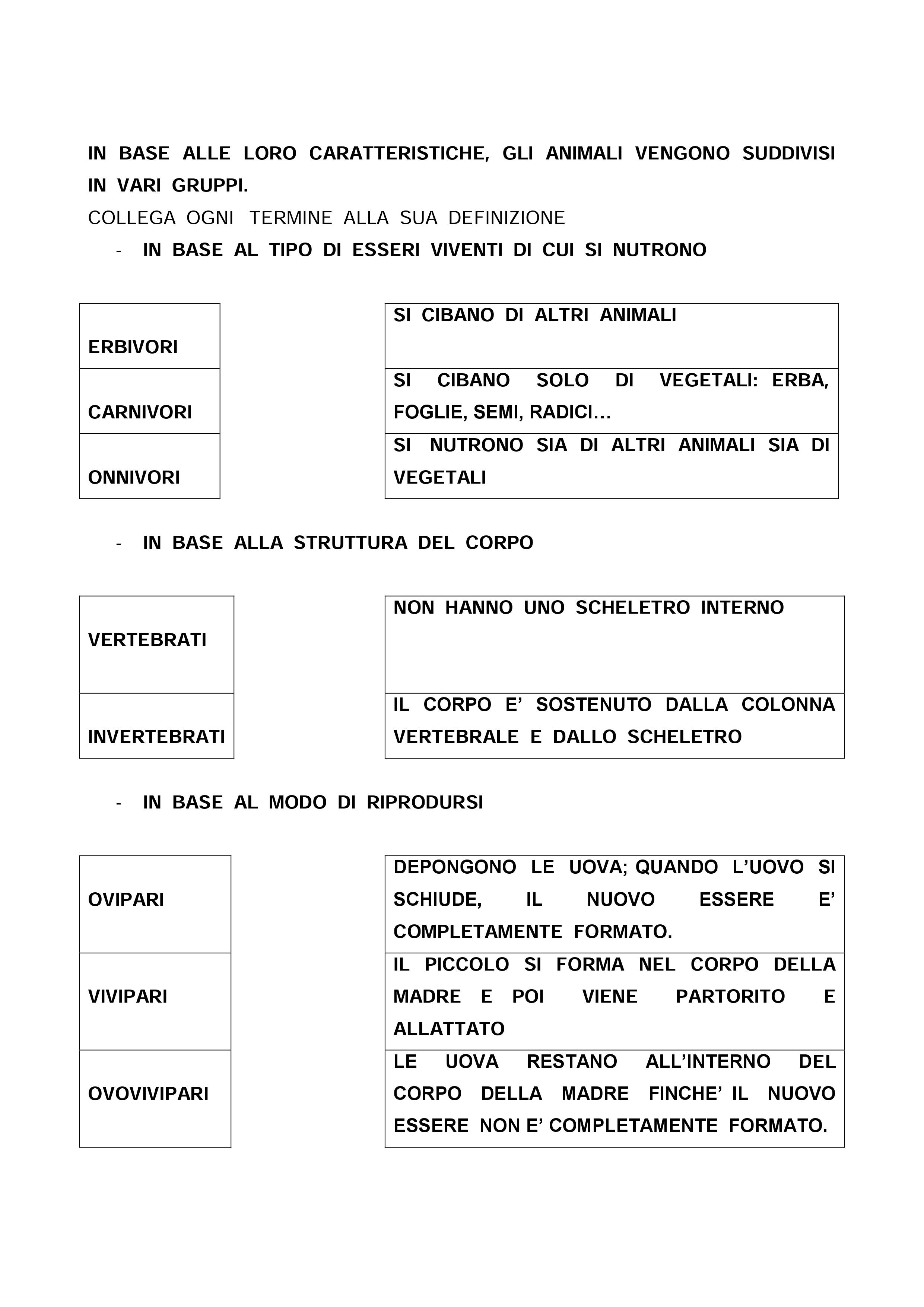 VERIFICA I VERTEBRATI | Blog di Maestra Mile