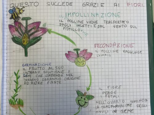 DAL FIORE AL FRUTTO